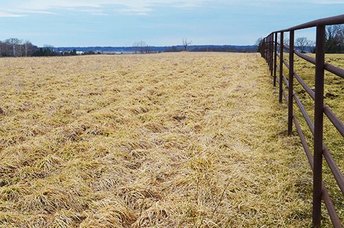 Property photo 10 - REAL ESTATE & FARM EQUIPMENT AUCTION IN ALLEN COUNTY, INDIANA
